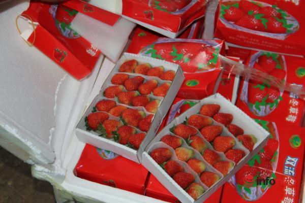 Bắt giữ hơn 3 tấn dâu tây nhãn mác Trung Quốc tuồn vào Đà Lạt