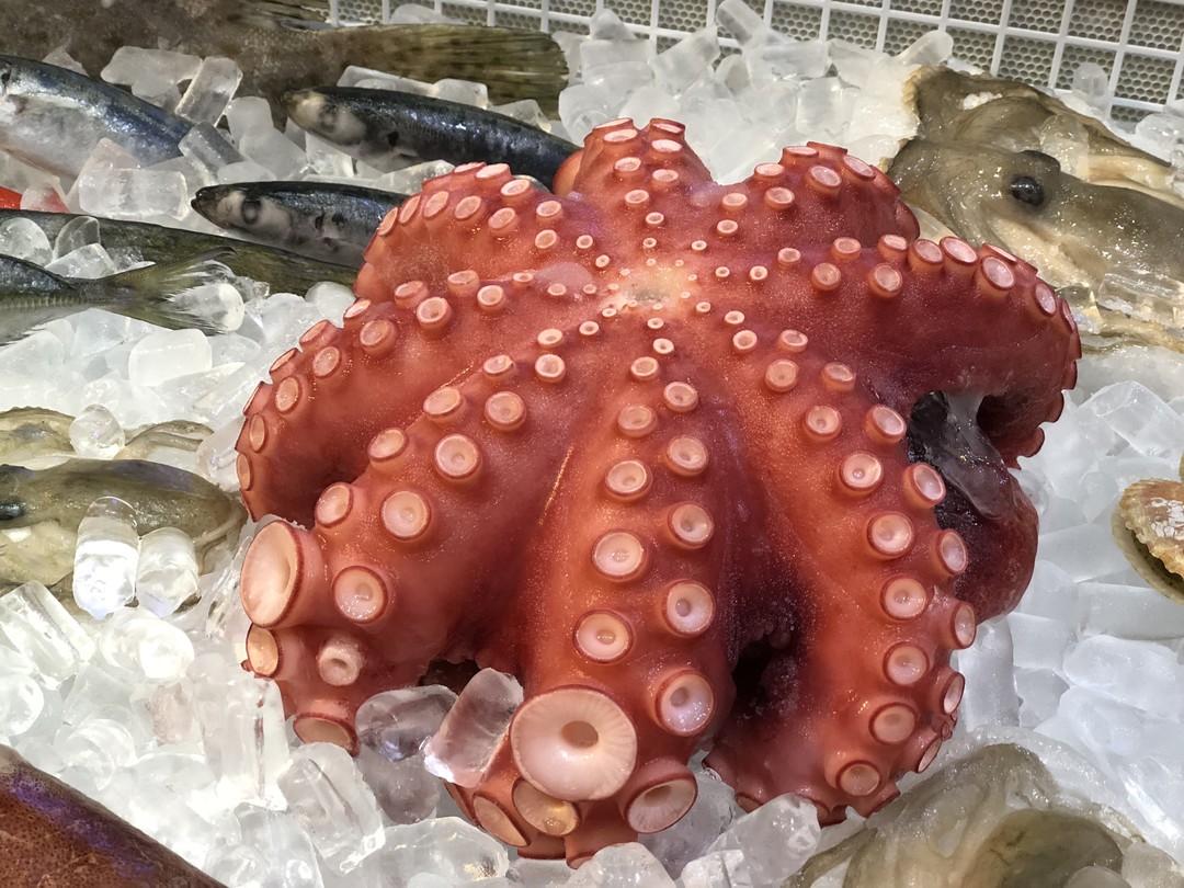 Tháng 62020 Xuất khẩu mực, bạch tuộc tăng 6.5%