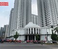 Nội bộ HĐQT dự án Iris Garden – tranh nhau “vườn hoa Diên vĩ” 