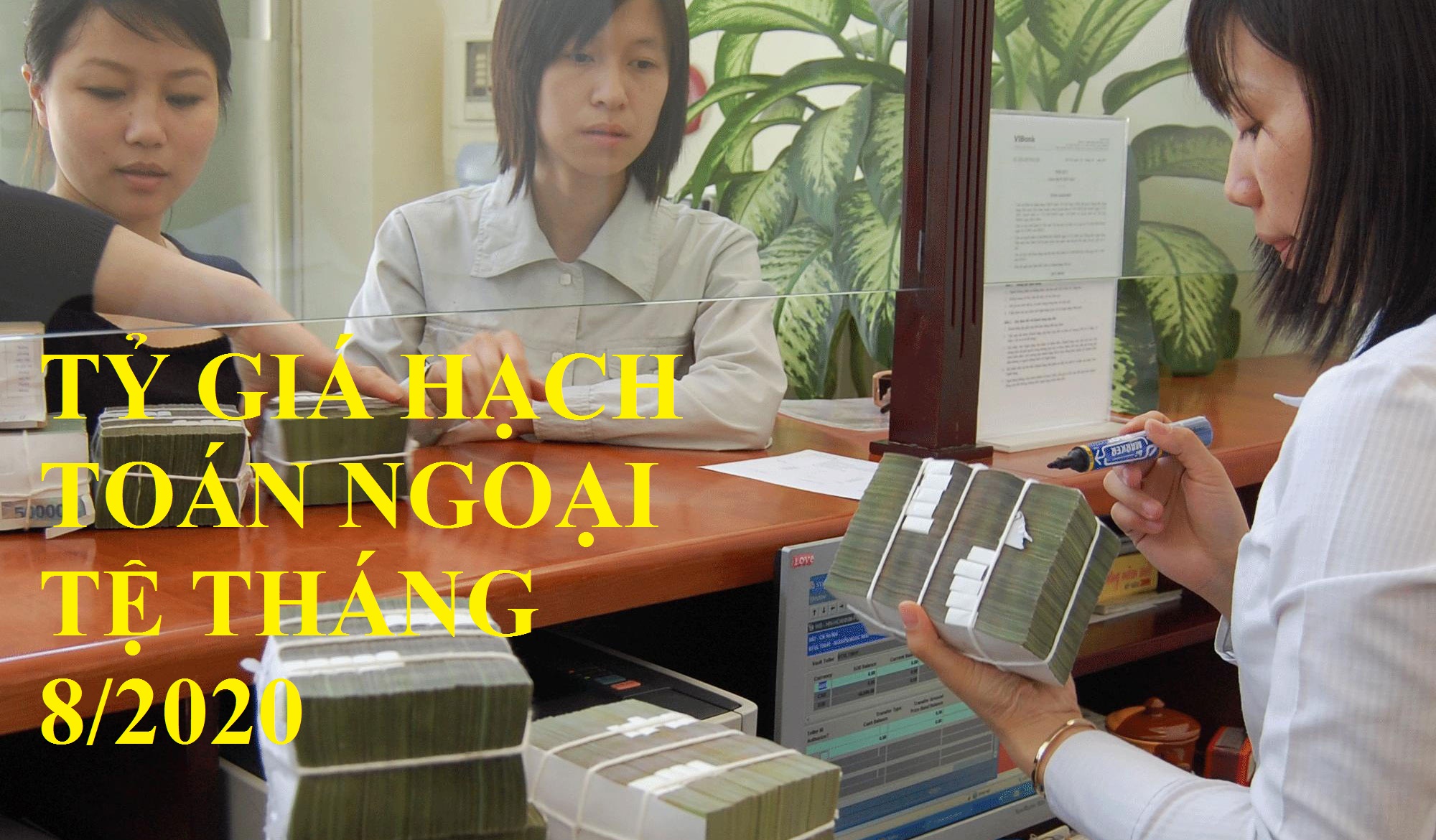 Kho bạc Nhà nước công bố tỷ giá hạch toán ngoại tệ tháng 82020