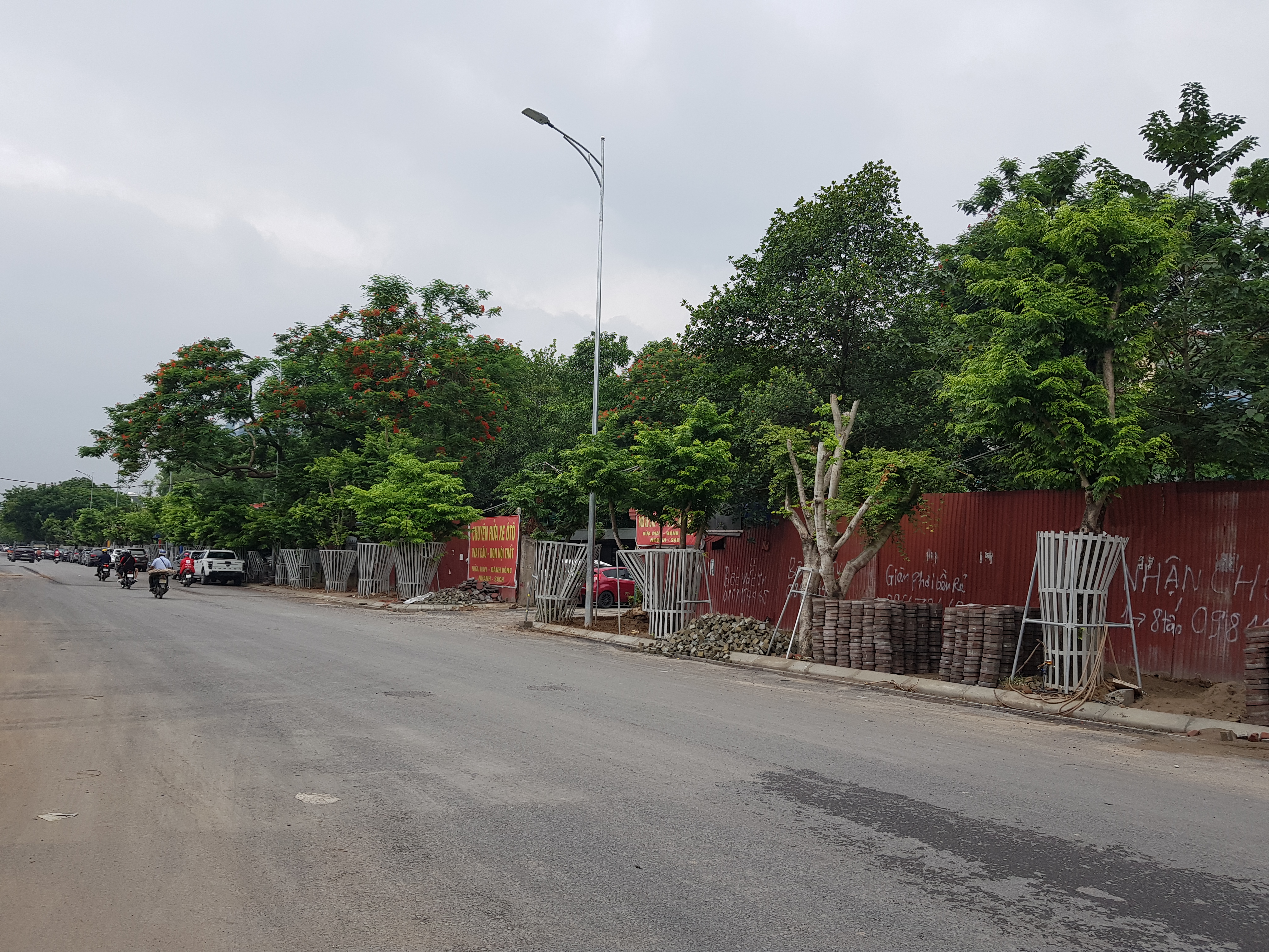 Hà Nội Truyền dịch cứu hàng cây sưa trên phố Nguyễn Văn Huyên