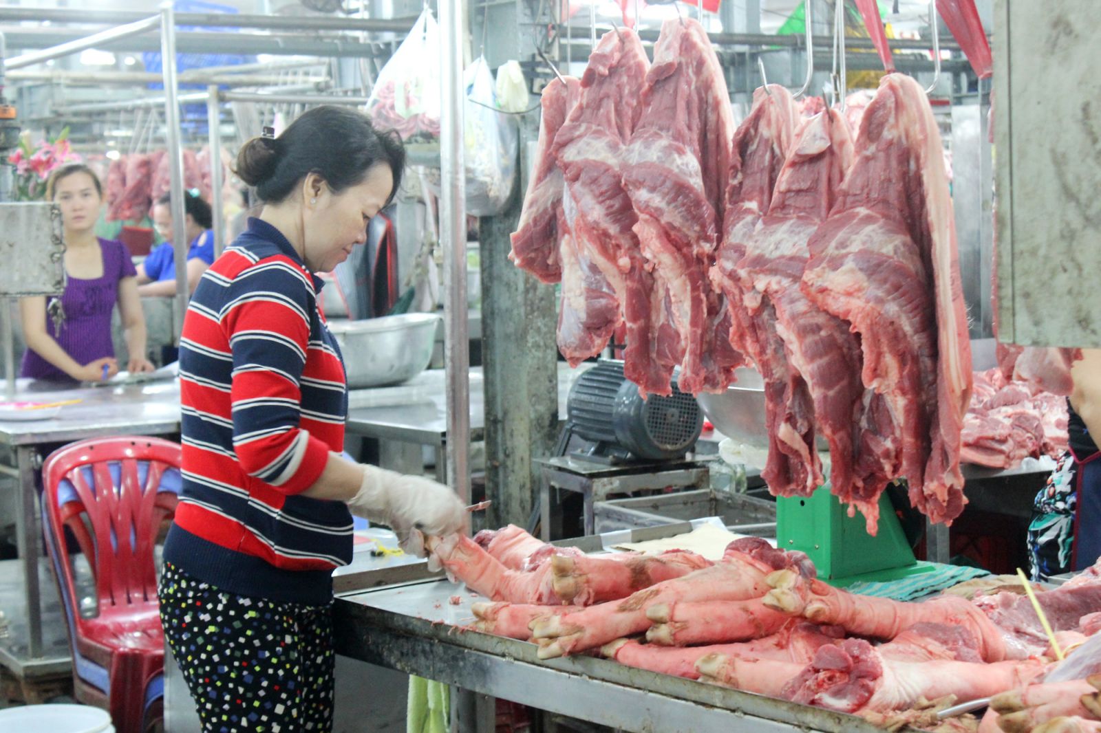 Giá thịt heo hôm nay 268 Ít biến động dù giá heo hơi giảm mạnh