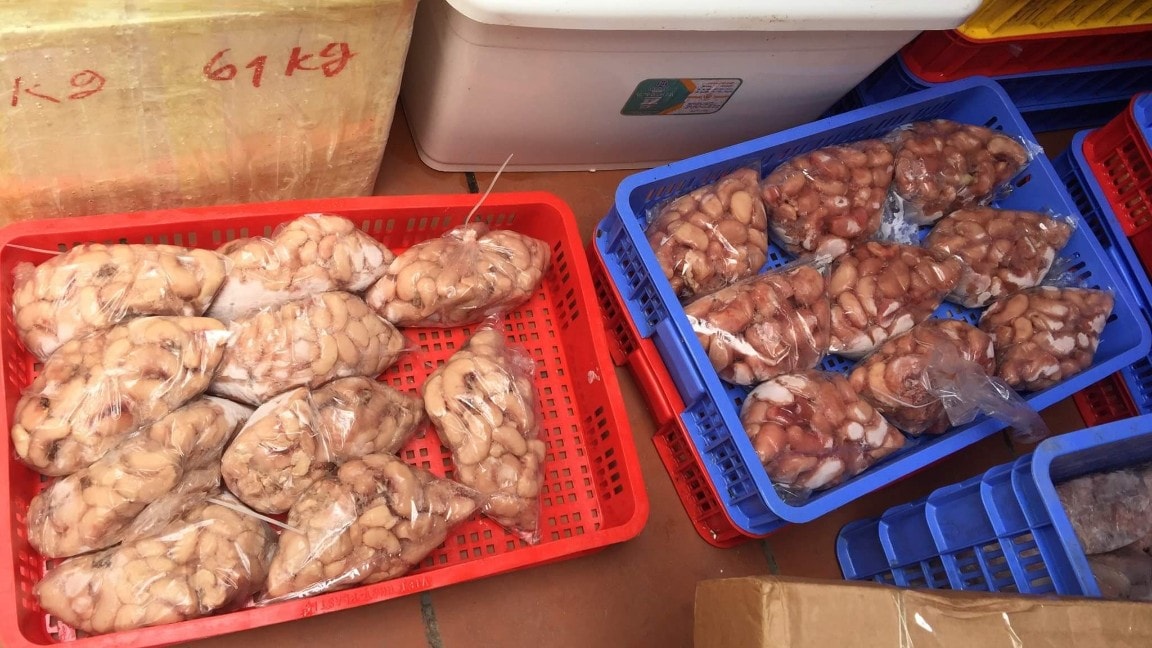 Hà Nội Phát hiện bắt giữ gần 2 tấn trứng gà non, tràng lợn đang phân hủy