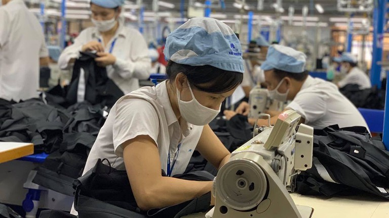 Hỗ trợ tối đa cho người nộp thuế chịu ảnh hưởng của dịch COVID-19
