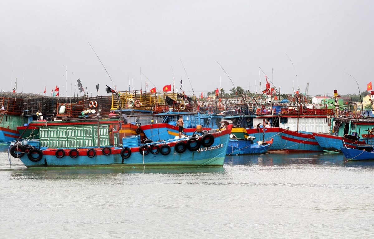  Từ 13h hôm nay ngày 179 Quảng Ngãi cấm tàu thuyền ra biển bao gồm cả tàu chở khách Sa Kỳ - Lý Sơn