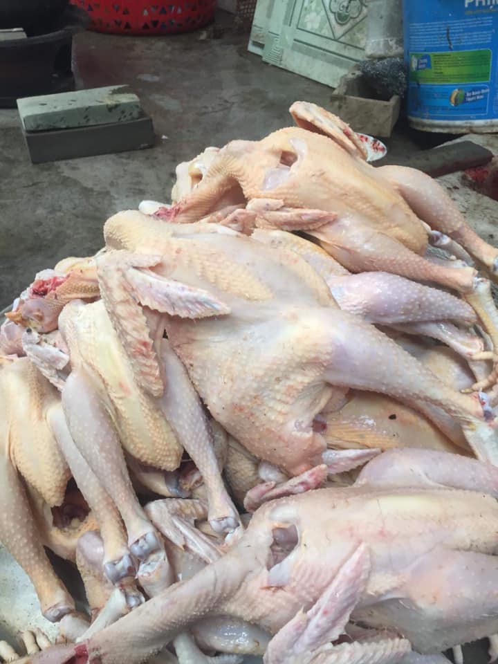 Sử dụng thực phẩm từ gà để ổn định cân đối cung cầu thịt heo