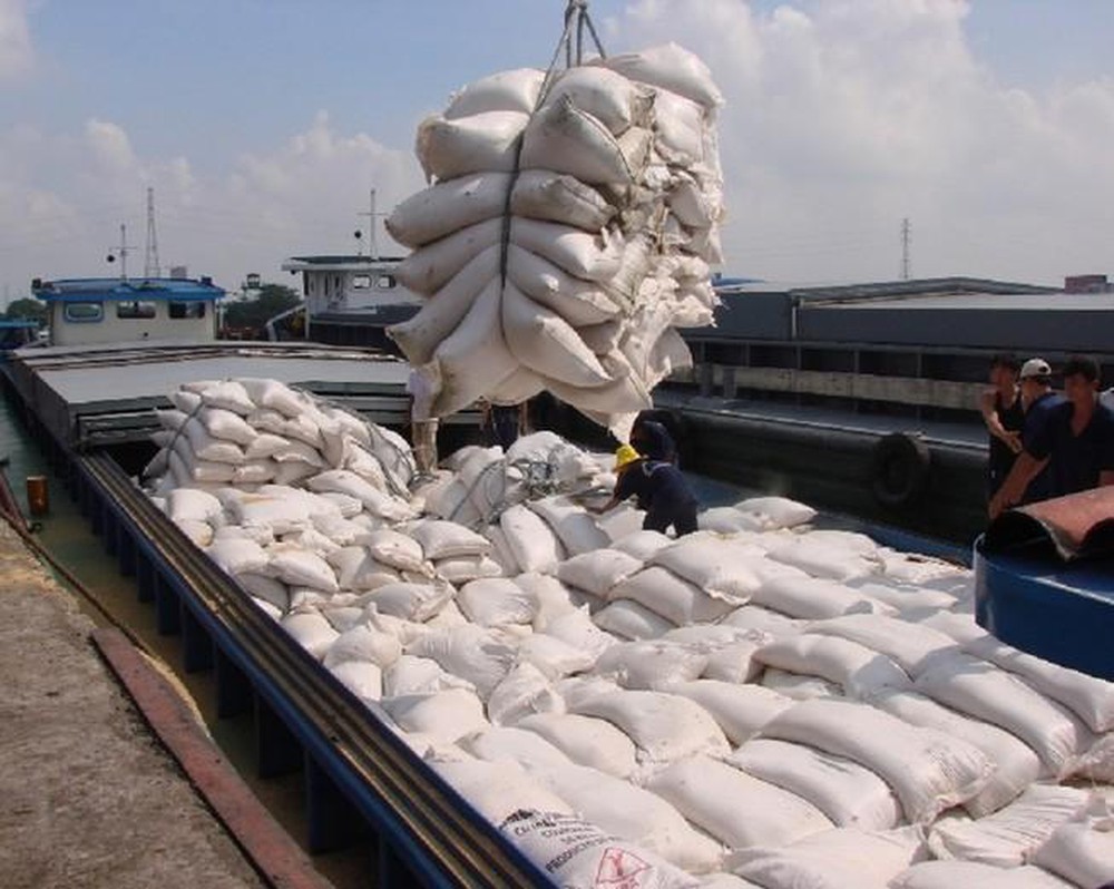 Sẽ xuất khẩu lô gạo ngon nhất sang châu Âu với giá cao vào tuần tới