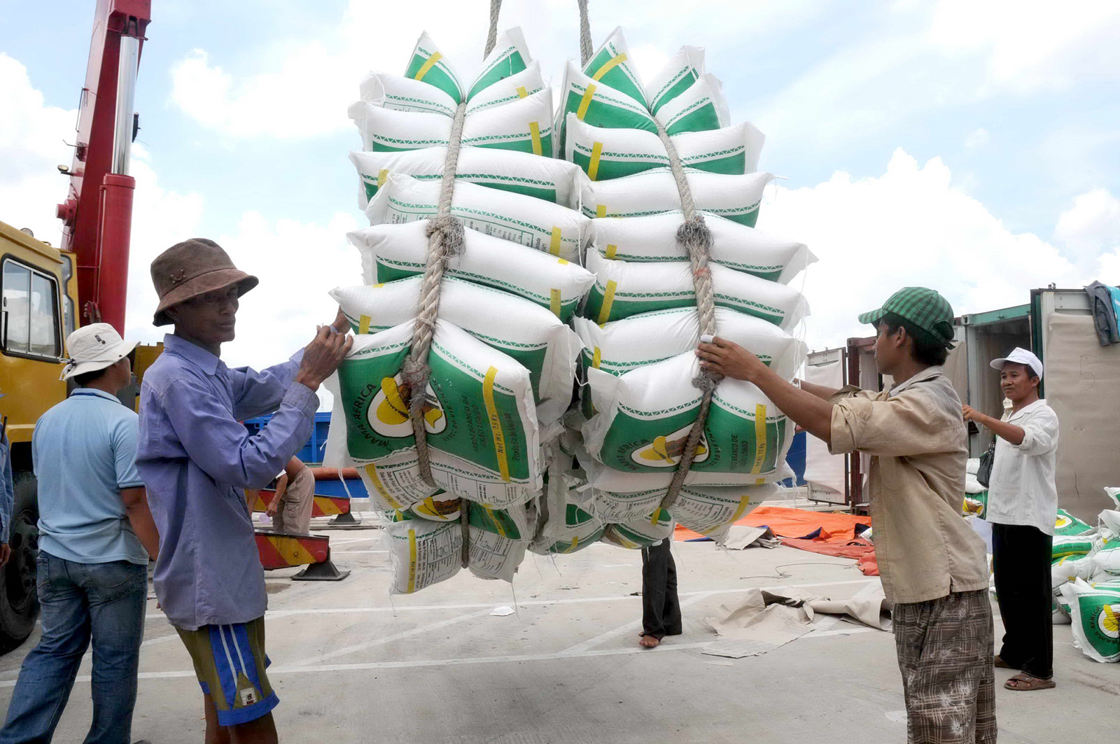 Giá lúa gạo hôm nay ngày 69 Thị trường trầm lắng giá gạo đi ngang