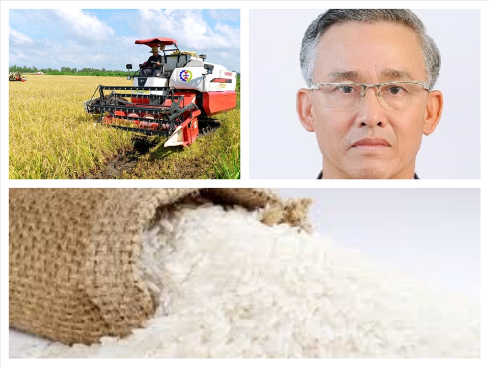 Nói 90% người Việt dùng gạo “bẩn” là sai sự thật, làm ảnh hưởng đến hình ảnh, uy tín của gạo Việt