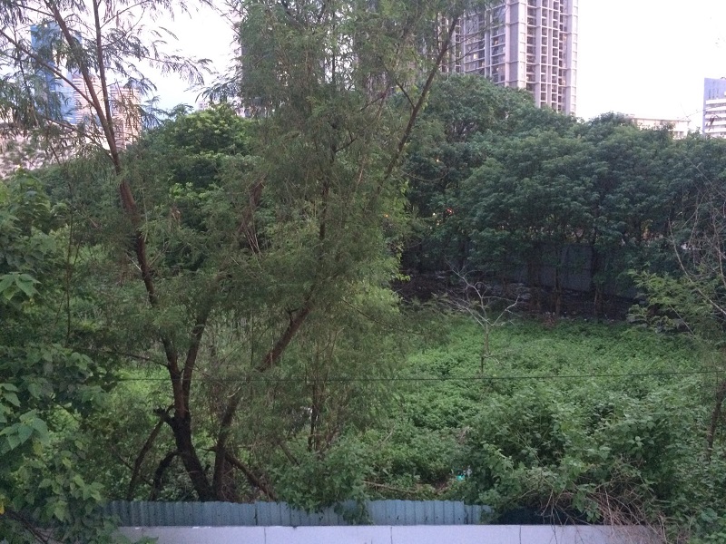 Sau chỉ đạo của Thủ tướng, dự án Trụ sở ngân hàng Vietcombank bỏ hoang nhiều năm có được hồi sinh