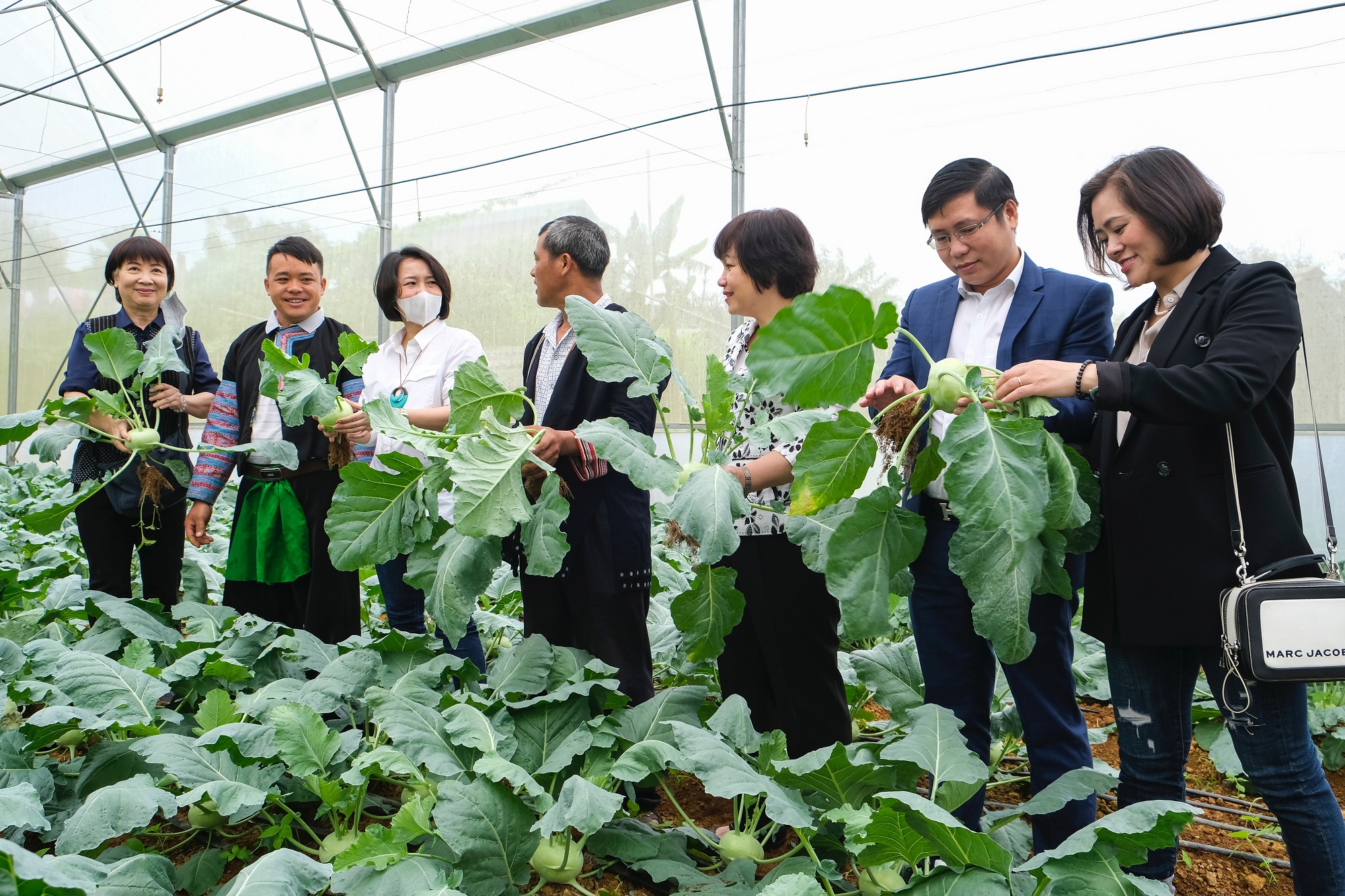 Hiệu quả tích cực từ chương trình Sinh kế cộng đồng tại dự án Vân Hồ