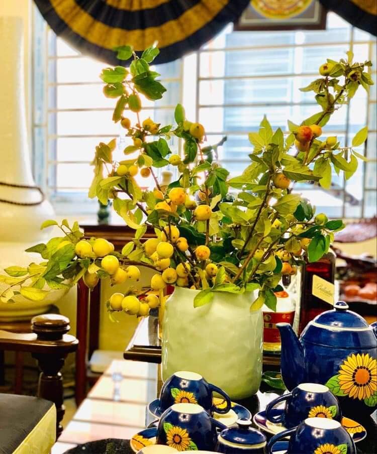 Thứ ngâm rượu trở thành đồ chơi cảnh,chị em tìm mua, dân buôn lời lớn