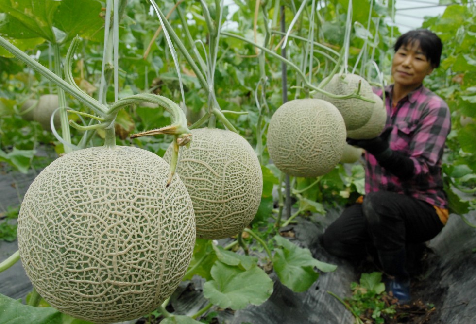 Khánh Hòa công nhận thêm 18 sản phẩm OCOP