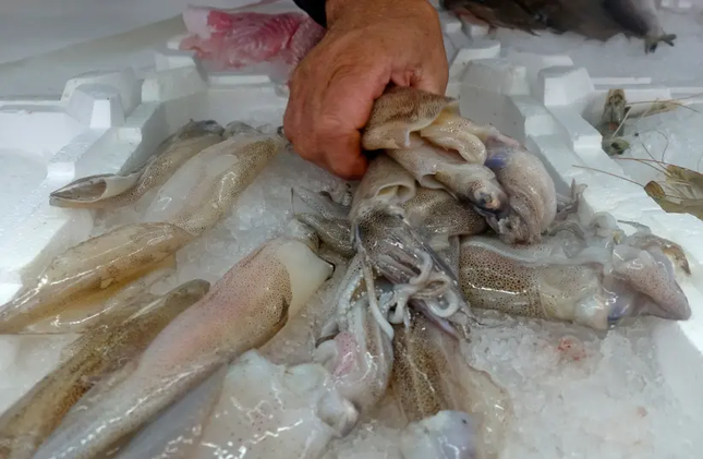 Virus SARS-CoV-2 được tìm thấy trên bao bì mực nhập khẩu ở Trung Quốc