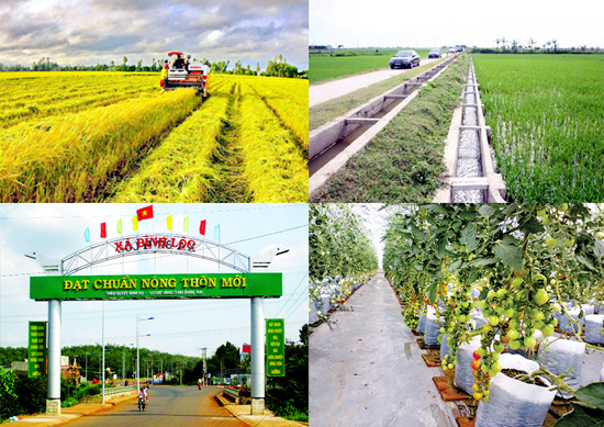 Đẩy mạnh tái cơ cấu, Hà Nội phấn đấu tăng trưởng kinh tế nông nghiệp năm 2021 đạt trên 3%