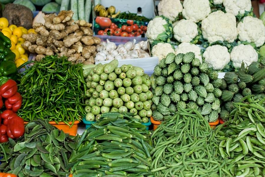Giá thực phẩm hôm nay ngày 259 Rau củ ổn định, tín hiệu tốt từ thủy sản