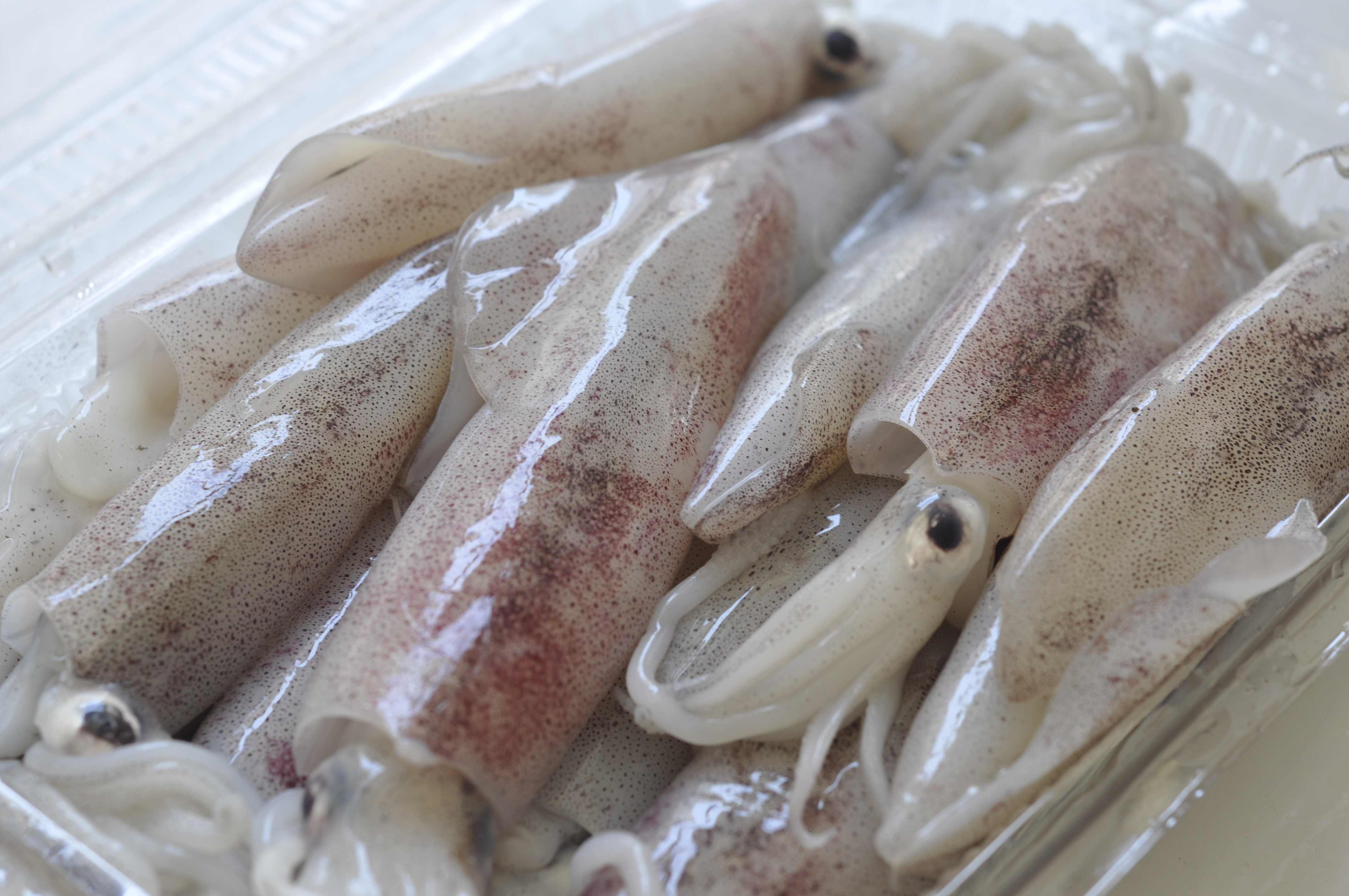 Xuất khẩu mực, bạch tuộc tiếp tục tăng trưởng khả quan