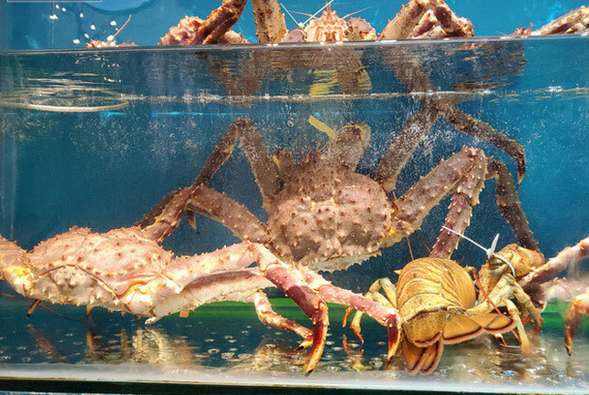 Hà Nội Đẩy mạnh liên kết chuỗi tiêu thụ hải sản trên kênh bán lẻ