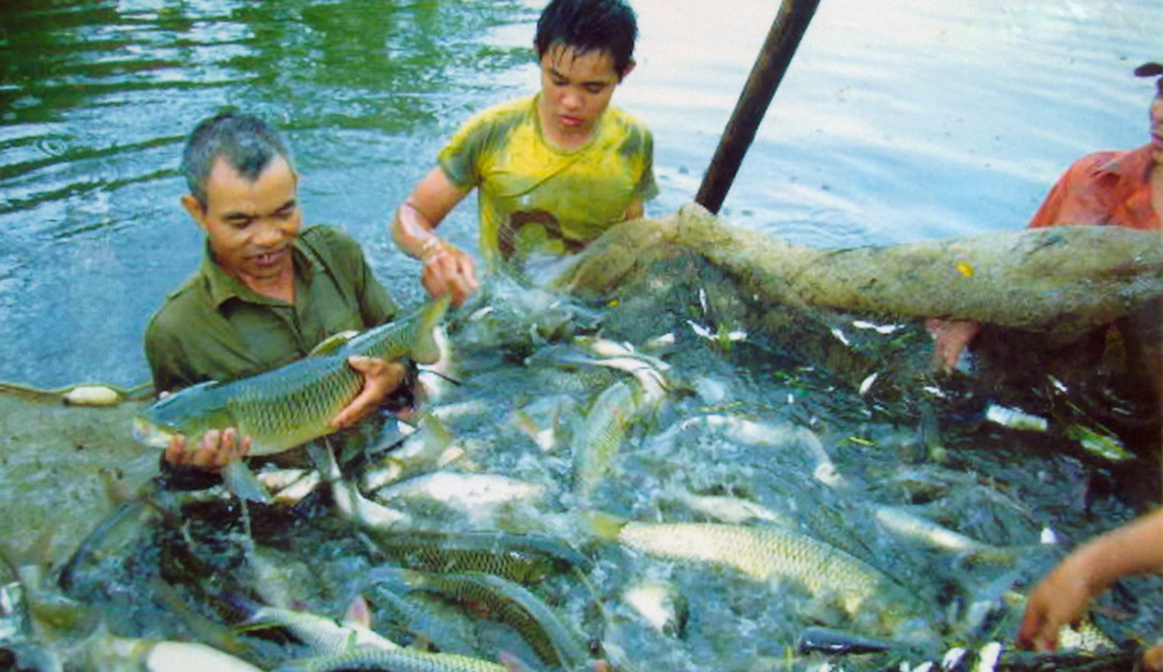 Thủy sản đặt mục tiêu đạt 30% cơ cấu ngành nông nghiệp