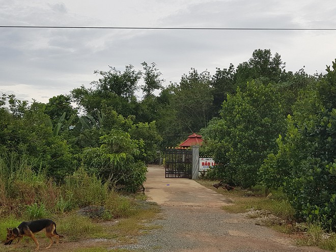 Hai công ty tí hon doanh thu ngàn tỉ vẫn đang hoạt động