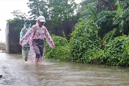 Đà Nẵng tiếp tục cho học sinh, sinh viên nghỉ học do bão
