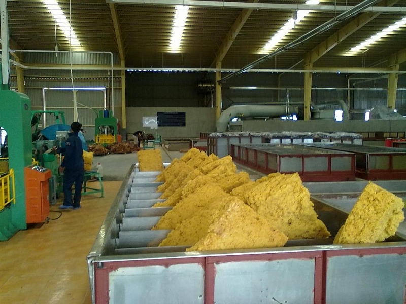 Triển vọng giá cao su thiên nhiên sáng dần nhờ nhu cầu hồi phục