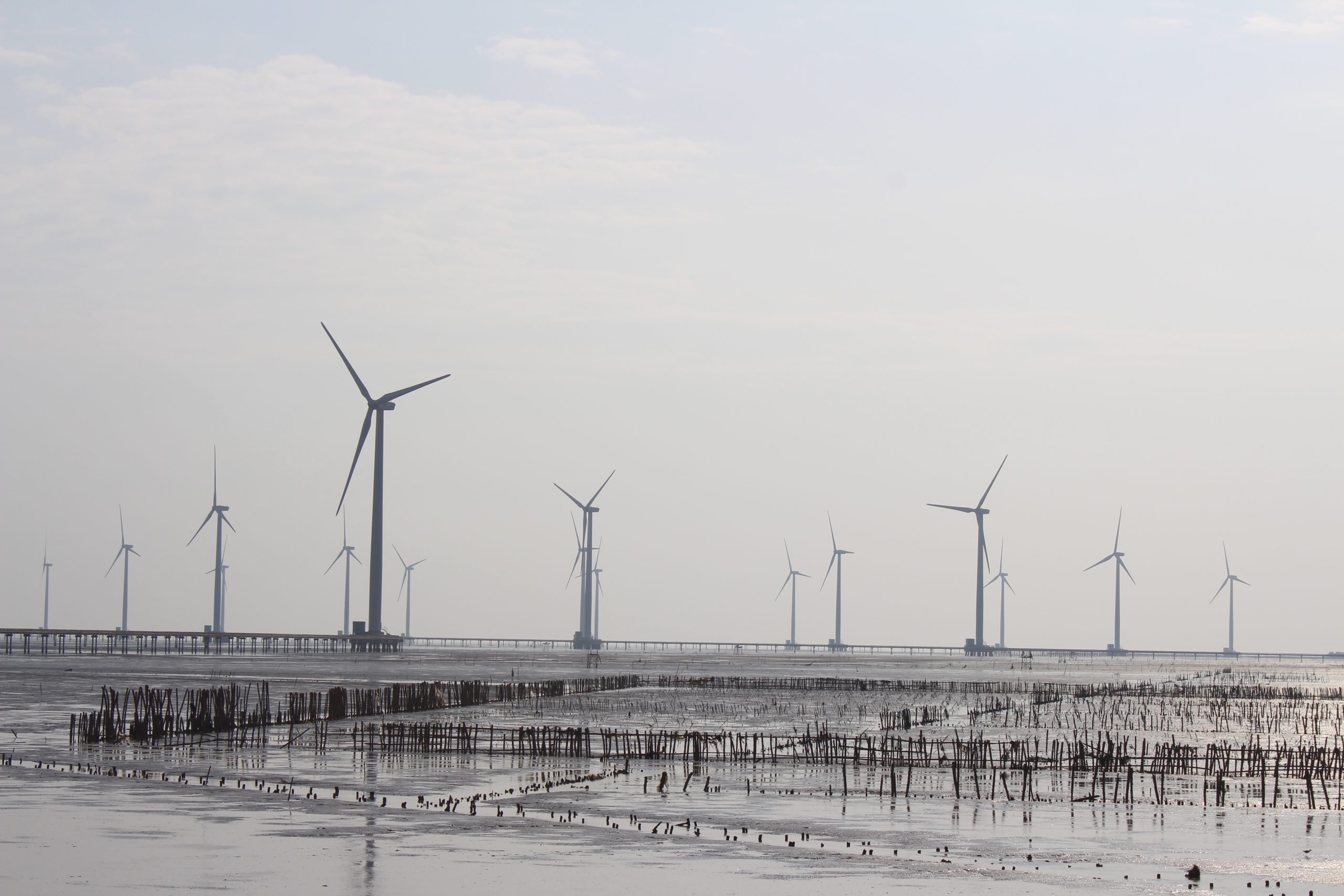 Hơn 3.200 tỉ đồng xây dựng nhà máy điện gió Hòa Bình 5 tại Bạc Liêu