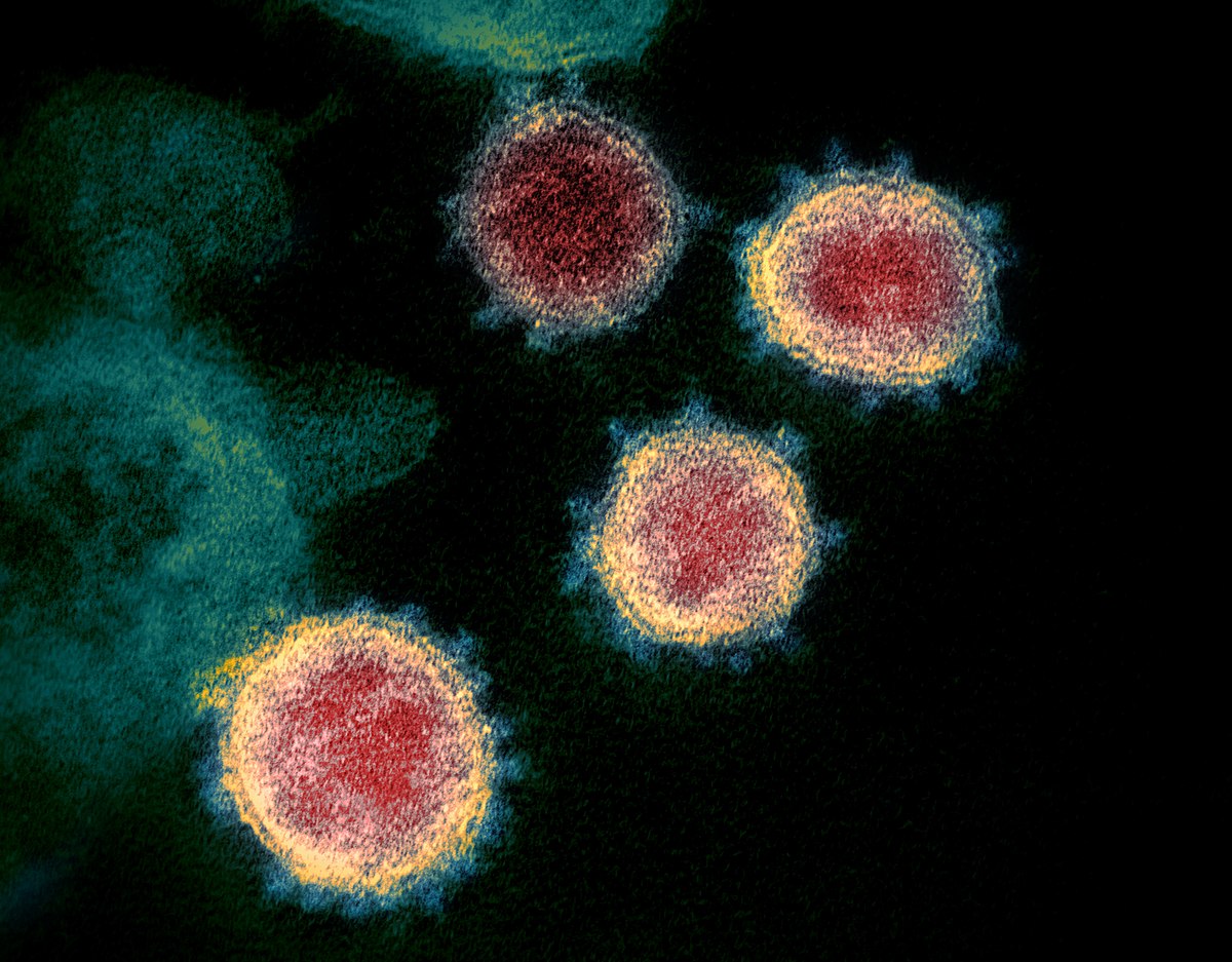 Virus SARS-CoV-2 tồn tại trên điện thoại và tiền giấy 28 ngày
