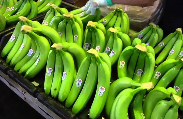 Việt Nam là thị trường cung cấp chuối lớn thứ 3 cho Trung Quốc