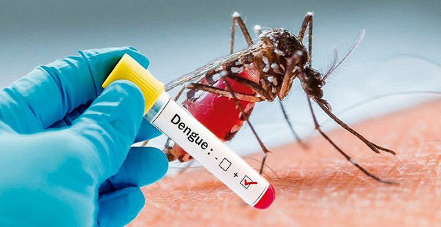 TP Hồ Chí Minh xuất hiện 55 ổ dịch sốt xuất huyết mới