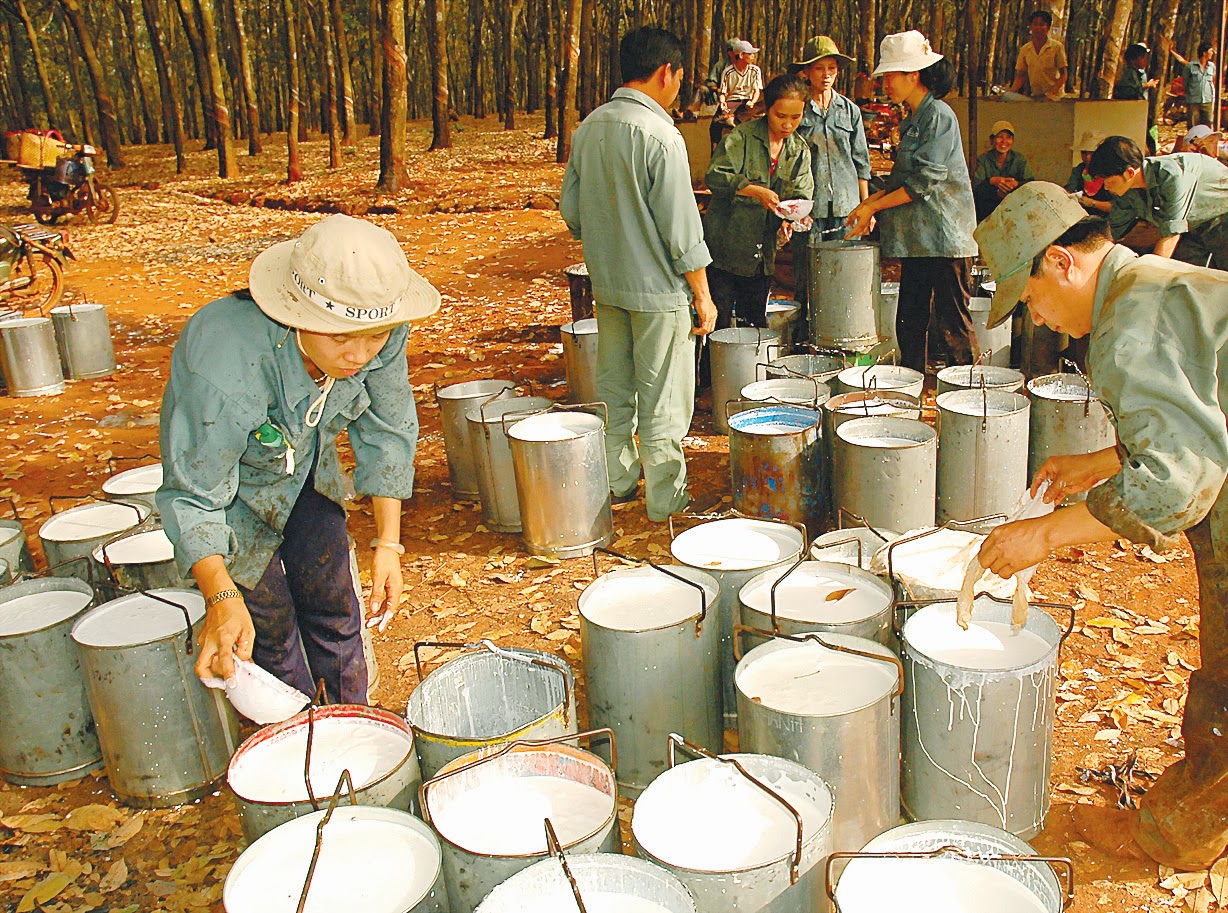 Giá cao su hôm nay 2010 Điều chỉnh tăng giá trước sự phục hồi nền kinh tế
