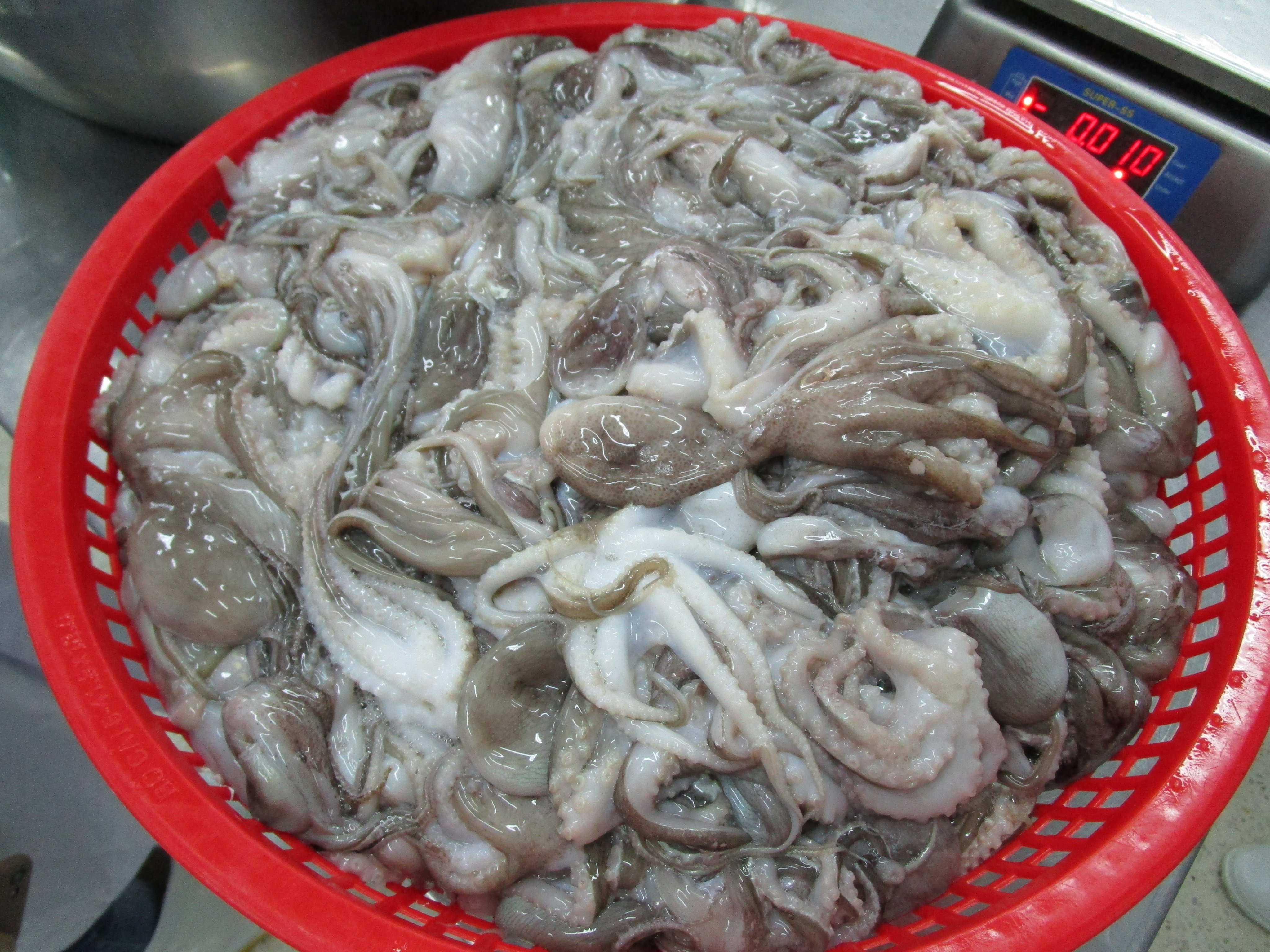 Tháng 92020 Xuất khẩu mực, bạch tuộc của Việt Nam tăng 20%