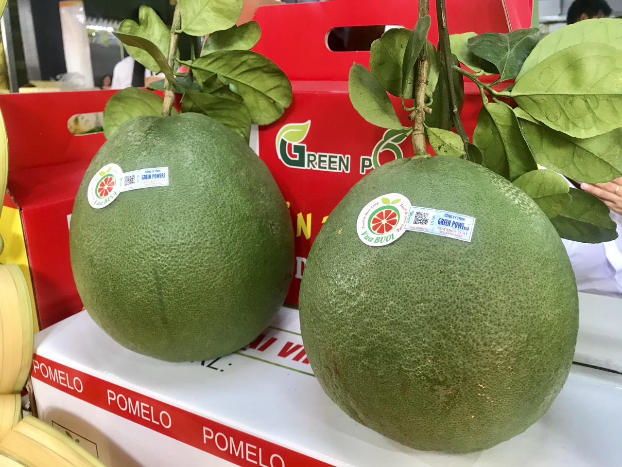 Bưởi Việt Nam chính thức được phép xuất khẩu vào Chile