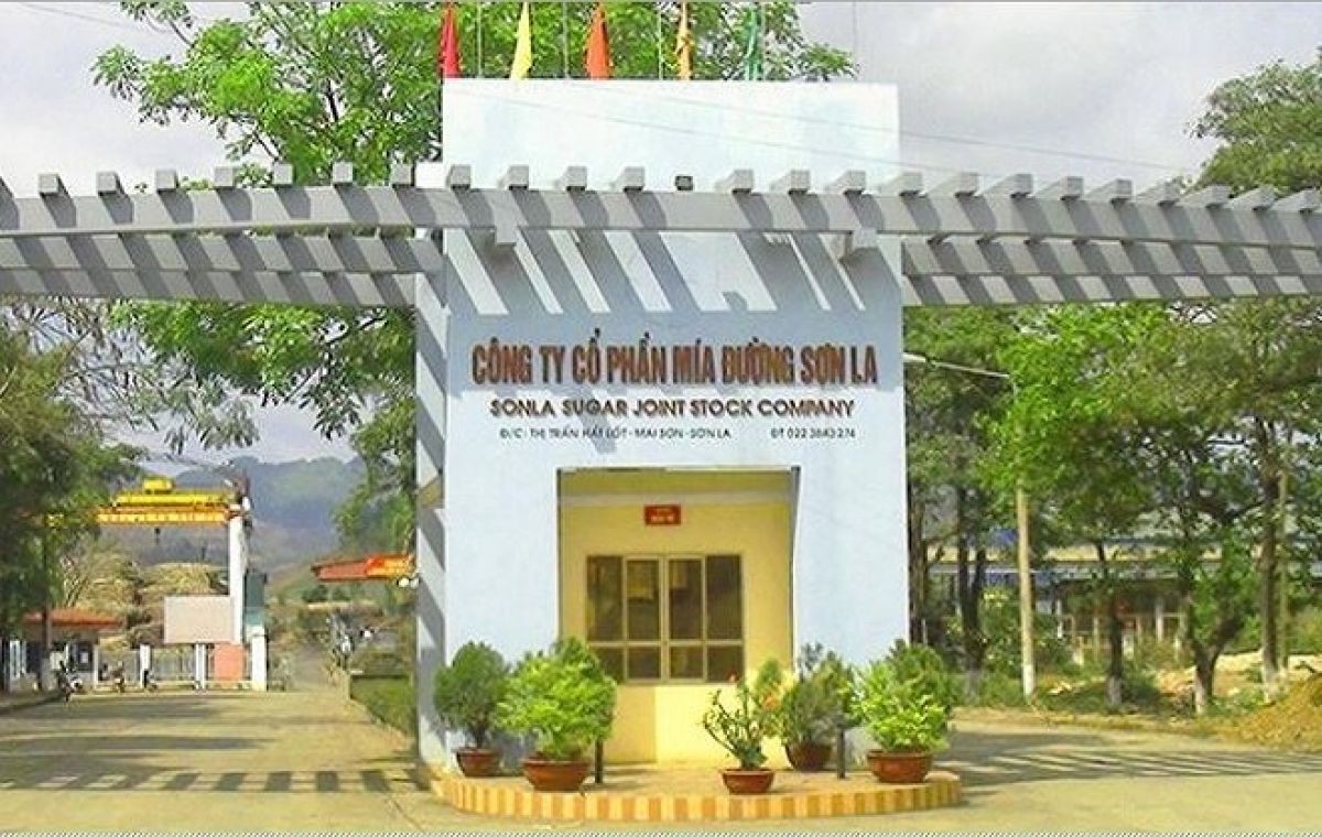 Quý I2020 SLS đạt hơn 108 tỷ đồng doanh thu