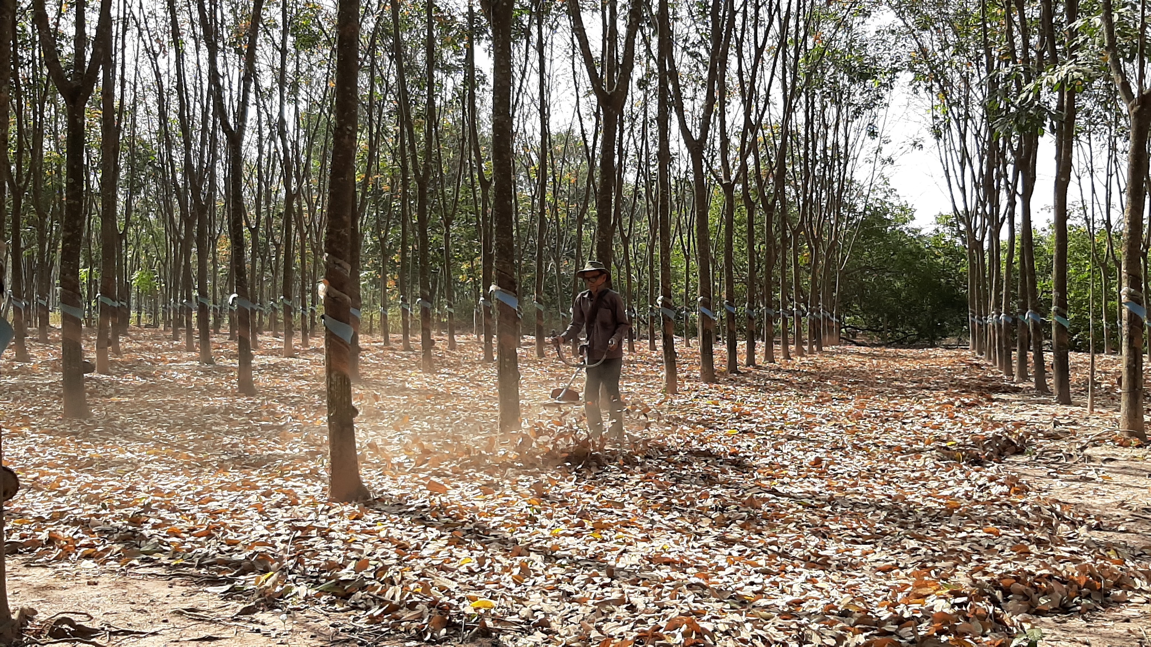 SBR chuẩn bị niêm yết hơn 81 triệu cổ phiếu trên sàn HNX