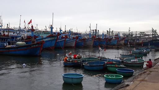 Ninh Thuận cấm tàu thuyền ra khơi từ 14 giờ ngày 2710