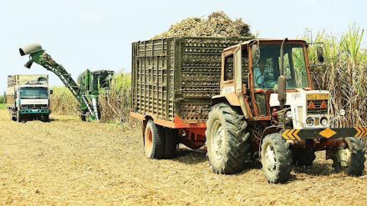 TTC Sugar dự kiến chi trả cổ tức tỉ lệ 6% - 8% mệnh giá