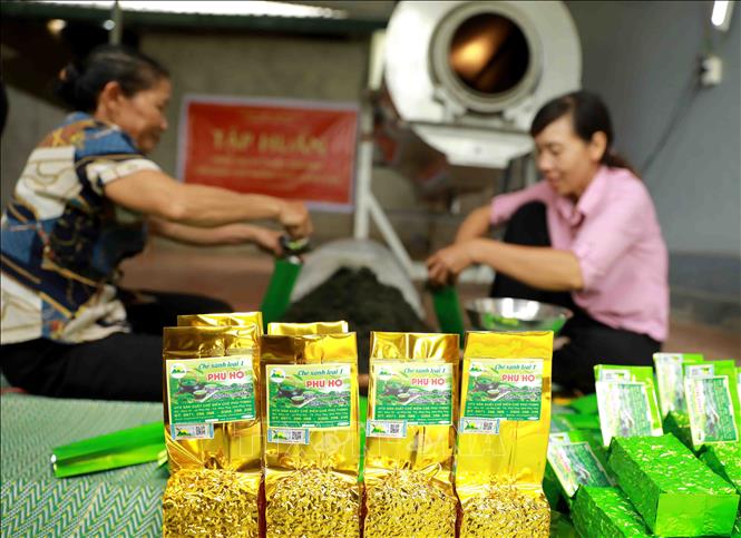 Hà Nội Đã phân hạng được 127 sản phẩm OCOP 