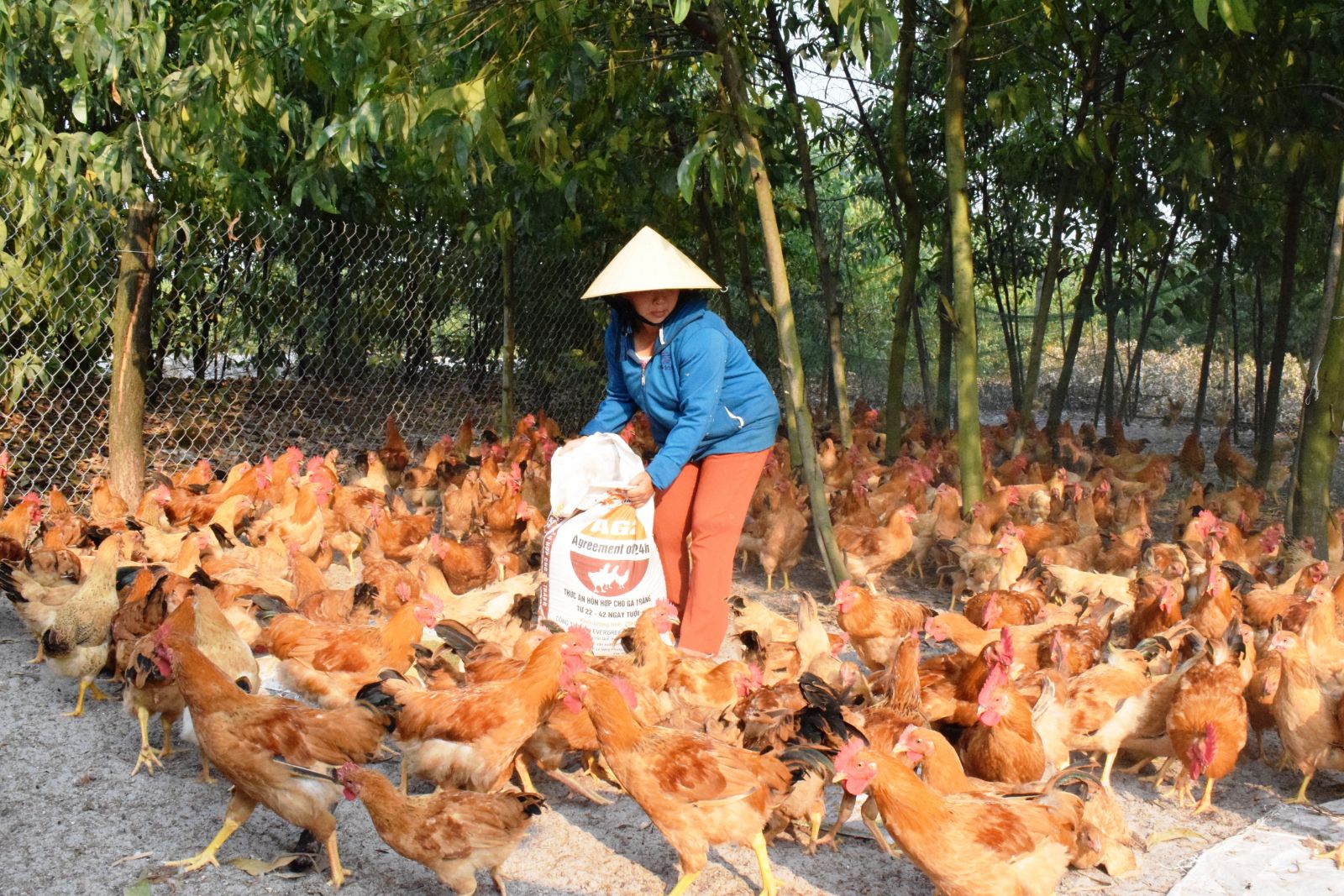 Tháng 102020 Xuất khẩu sản phẩm chăn nuôi ước đạt 29 triệu USD