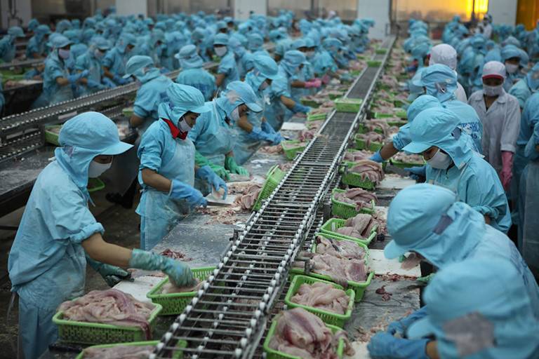 Xuất khẩu nông, lâm, thủy sản đạt 33,56 tỷ USD trong 10 tháng