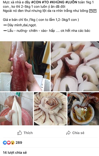 Thị trường xuất hiện loại “mực khổng lồ” bán giá rẻ giật mình