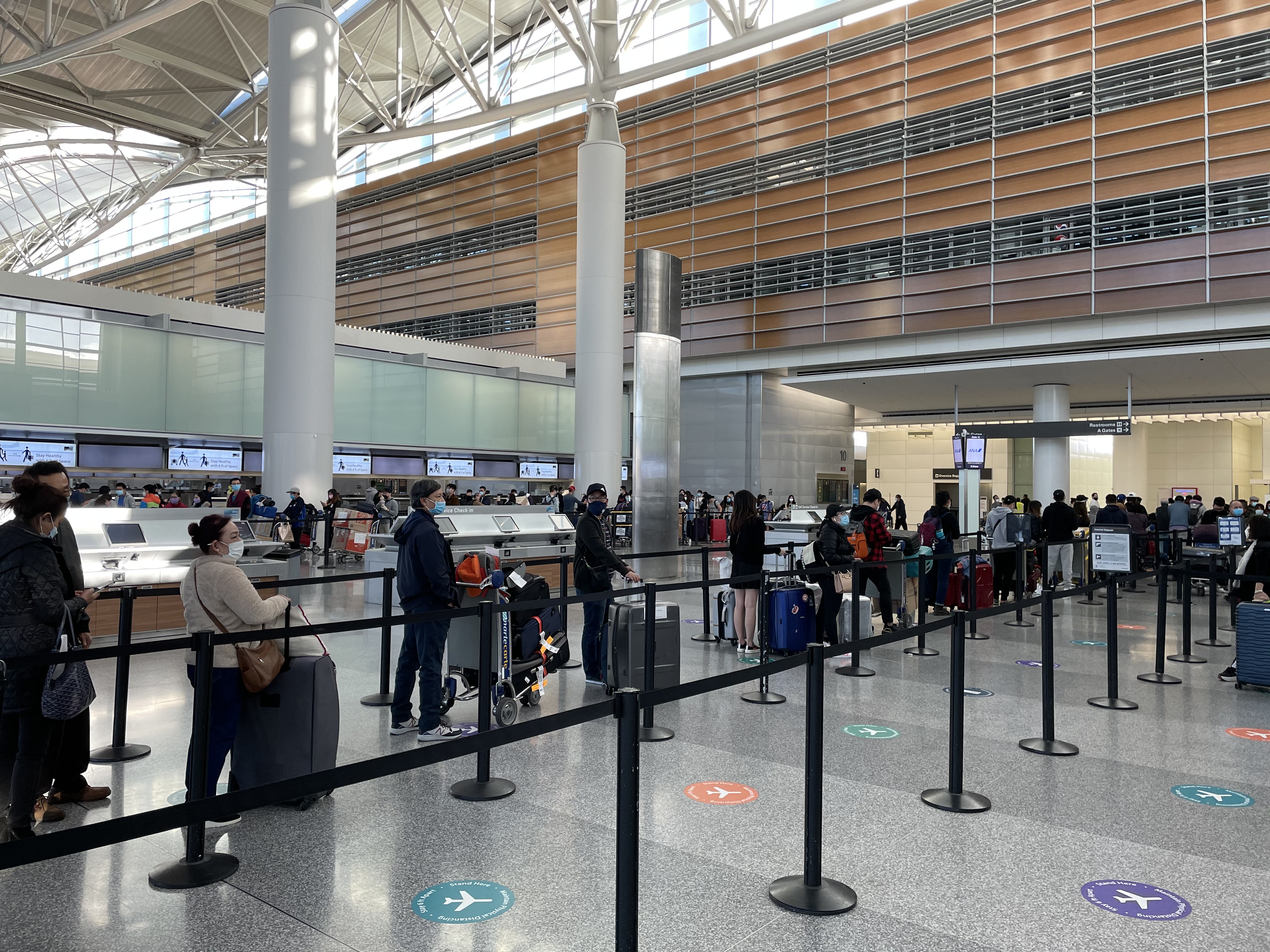 Đưa gần 360 công dân Việt Nam từ Hoa Kỳ và Hàn Quốc về nước an toàn