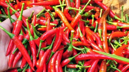 Giá ớt bán tại chợ tăng mạnh
