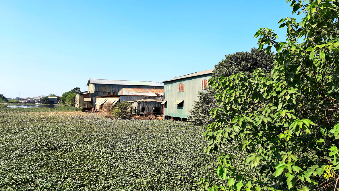 Ô nhiễm môi trường làng nghề, cụm công nghiệp Biến tướng đất quy hoạch