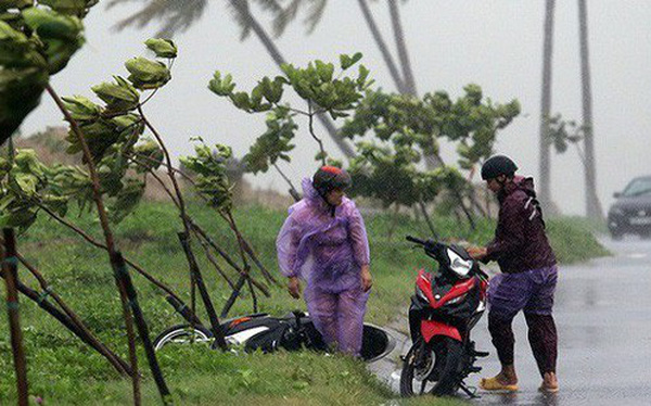 Sẽ đóng đường nếu gió mạnh cấp 8 trong thời gian bão số 13 đổ bộ
