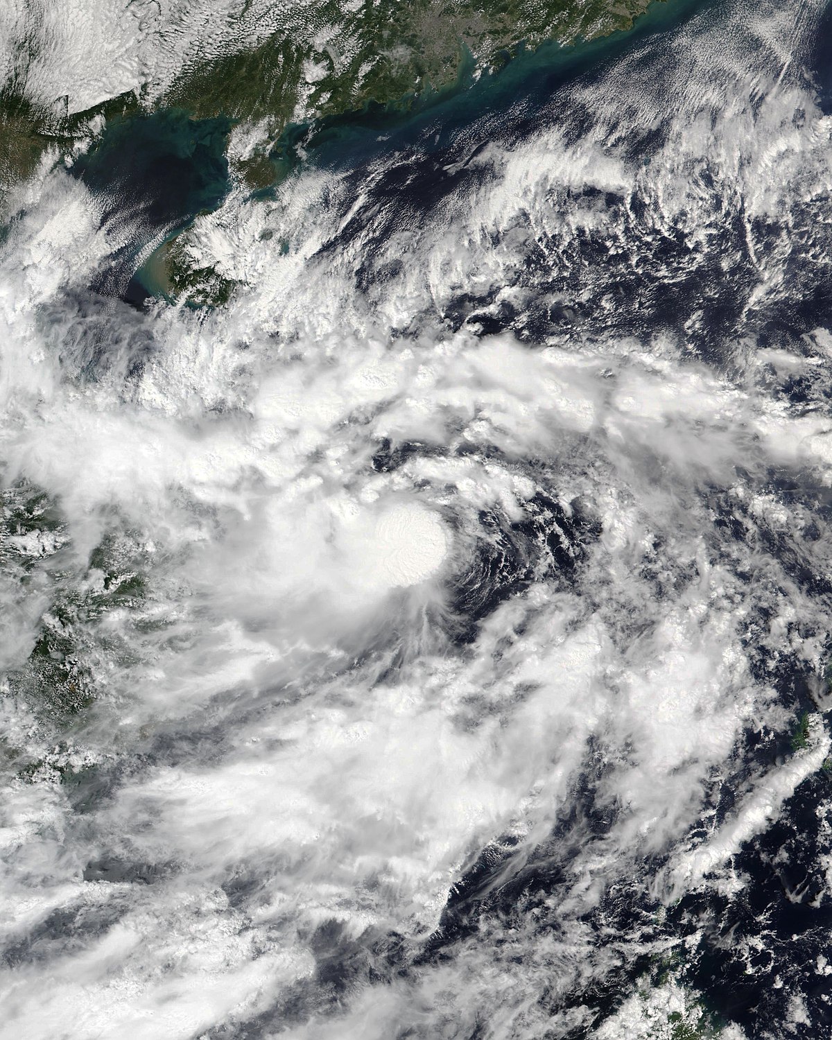 Việt Nam đề xuất xóa bỏ tên bão Linfa