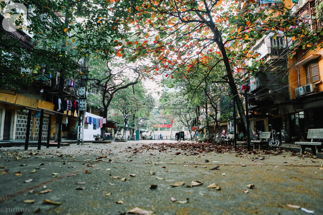 Dự báo thời tiết ngày mai 2010 Hà Nội và các khu vực trên cả nước