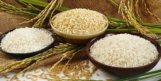 Giá lúa gạo hôm nay 2311 Gạo trong nước giảm do sức mua yếu