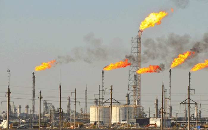 Giá gas hôm nay 2511 Duy trì đà tăng do nhu cầu tiêu thụ phục hồi