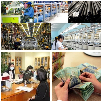 Hà Nội Tuyên dương 342 đơn vị thực hiện tốt chính sách thuế